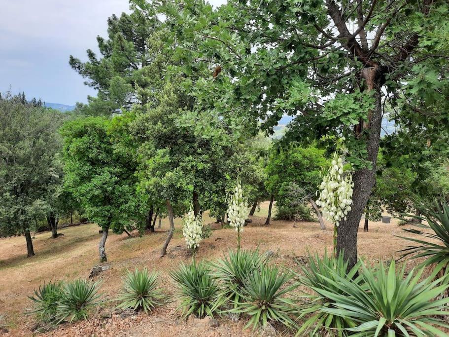 Villa Tutti I Colori Del Chianti Linari Buitenkant foto