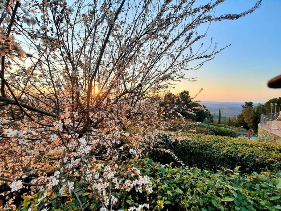 Villa Tutti I Colori Del Chianti Linari Buitenkant foto