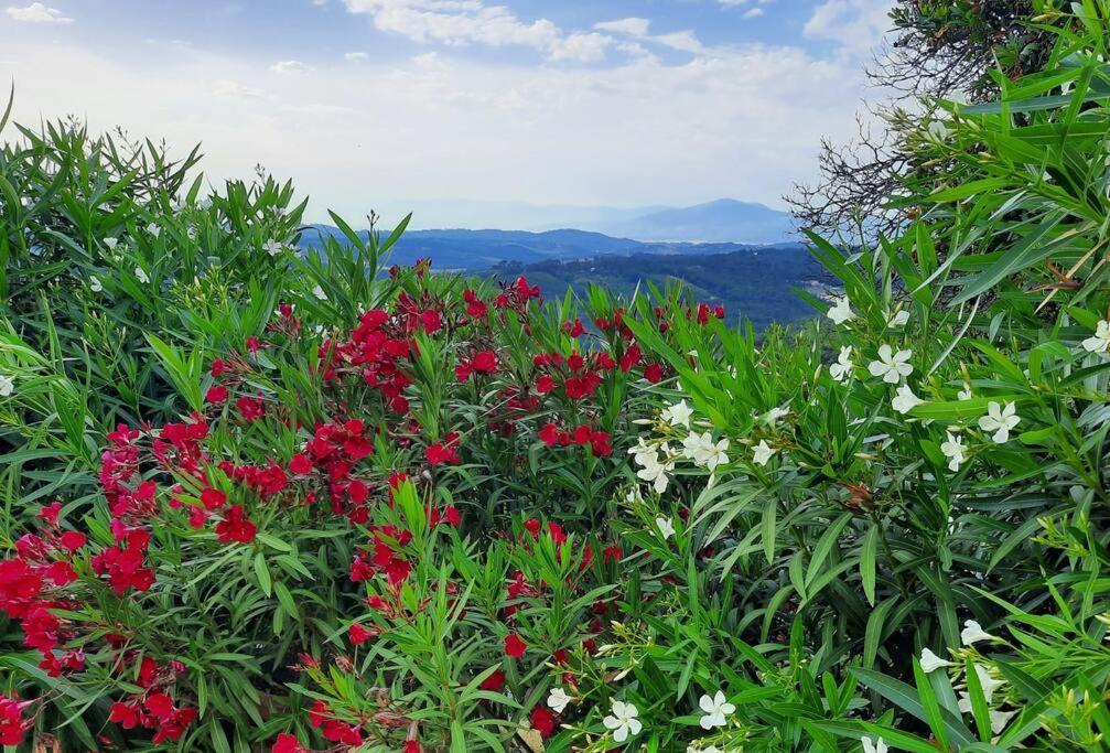 Villa Tutti I Colori Del Chianti Linari Buitenkant foto